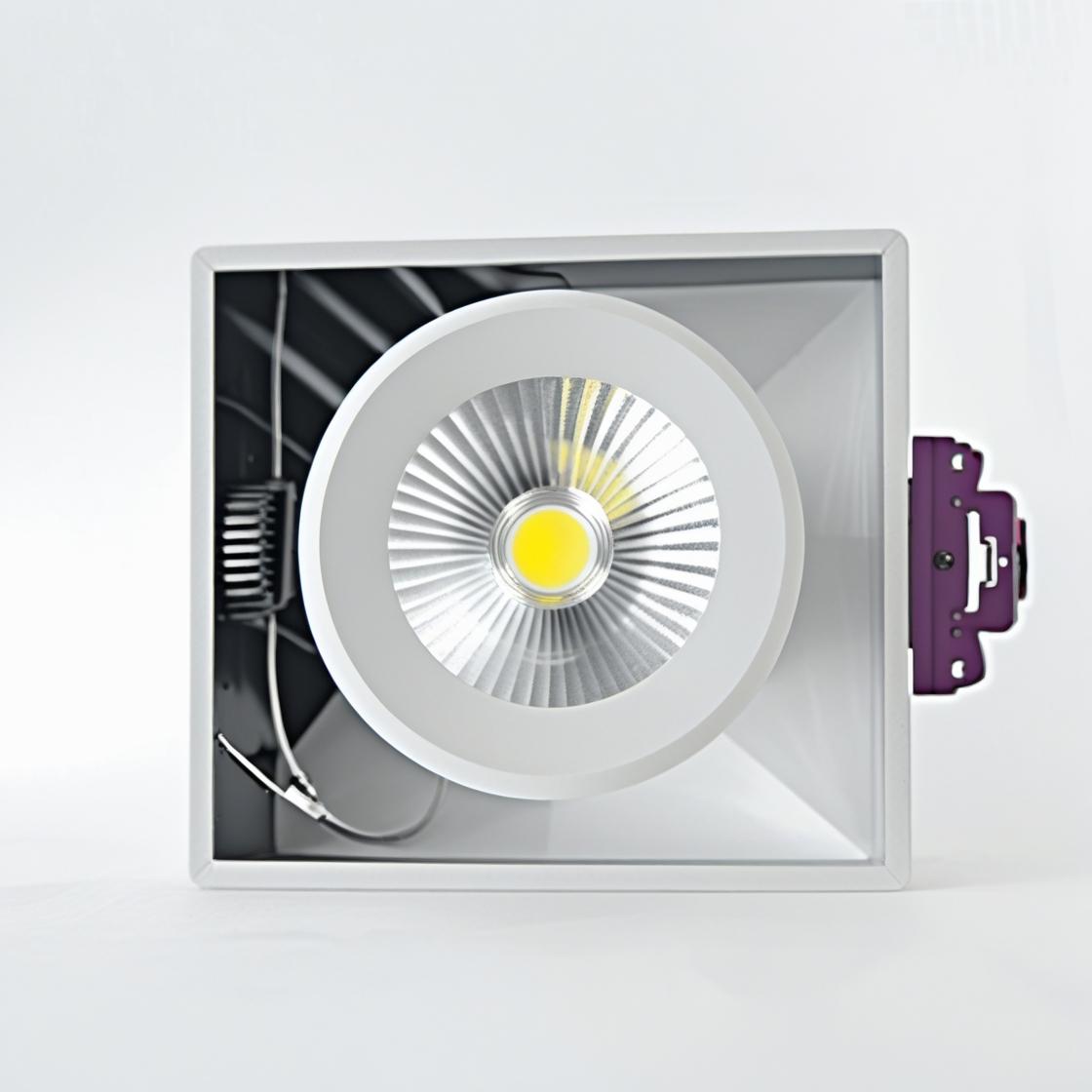 Deep Flava Cob Spot Light